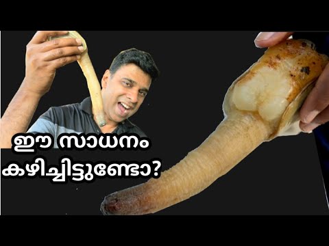 ഈ പുതിയ സാധനം നിങ്ങൾ കഴിച്ചിട്ടുണ്ടാവില്ല 😁 || How to clean and cook Geoduck in yummy style