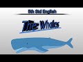 Whale Facts and Conservation