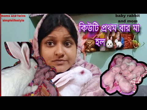 কিউটি প্রথম বার মা হল🐇🐰....new born baby rabbit and mom #rabbit #bunny