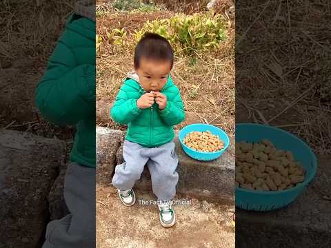 चिंटू को मिला सरप्राइज 🎁🎁| #viral  |#shorts