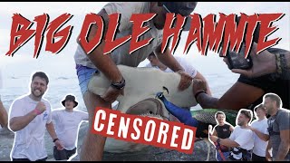 BIG OLE HAMMIE | LISHARKMAN