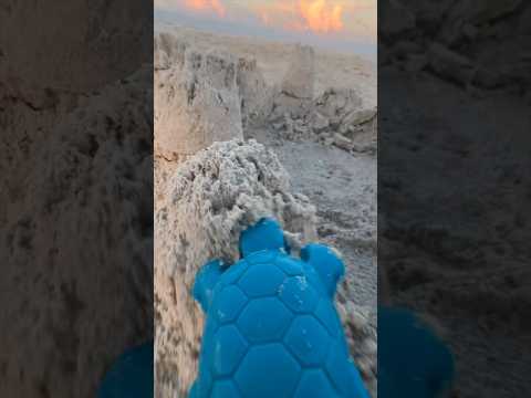 Sea Turtles LOVE when I Destroy Sandcastles #seaturtles #sandcastle #sand #turtle #beach