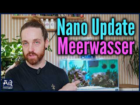 6 Monate Nano Meerwasser Aquarium Update | AquaOwner