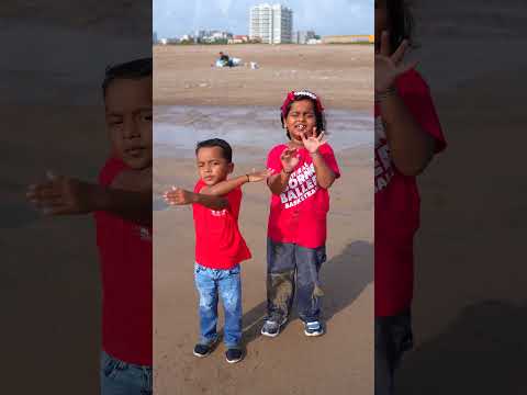 omg Shark 🦈😱 #shorts #viralvideo #viralshorts