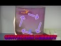 Exploring Heat Transfer and Convection Phenomena