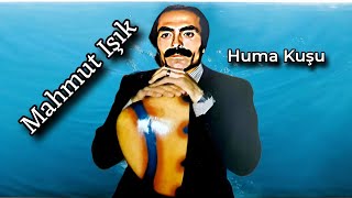 Mahmut Işık Huma Kuşu