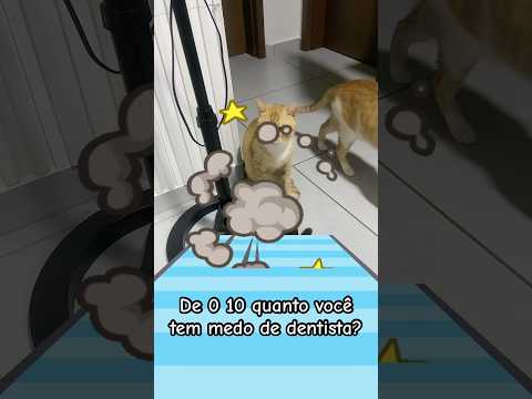 Paçoca não joga bem kkkkk #cat #viral