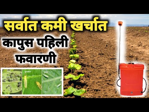 कापुस पहिली फवारणी कमी खर्चात सर्व फायदे.. Kapus pahili favarni