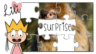 Raad het dier | Puzzelen met Prinses Lili | Hert - Vogel - Aap