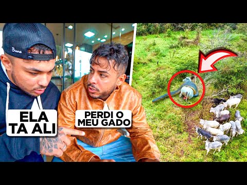 🚨CAÇAMOS A ANACONDA DE DRONE!! ELA ENGOLIU UM BOI DA FAZENDA😡 *sucuri gigante*