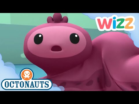 @Octonauts - Snot Sea Cucumber | Full Episode | Cartoons for Kids | @Wizz