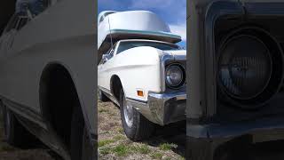 I made a couple more questionable purchases - VIDEO NOW LIVE!