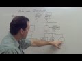 Pedigree Chart Interpretation