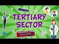 Understanding Economic Sectors and Tertiary Jobs