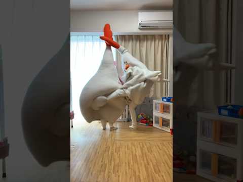 [バグ] ちょうどいい音がすると思ったら母でした #viral #goneviral #chickenmom #きぐるみ母さん