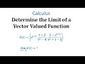 Understanding Limits of Vector-Valued Functions