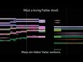 Quiz zur Video-Tutorial