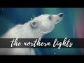 The Journey of the Salmon
