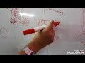Cell Structure and Function Concepts