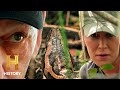 Python Hunting Strategies and Challenges