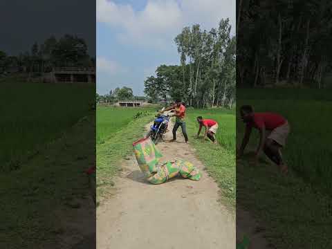 Suddenly, seeing the jump, the car stopped and sped away.