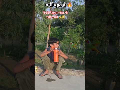pyasi chidiya 🐤😰😰🥹🥹🥹 #trendingshorts #birds #chidiya #