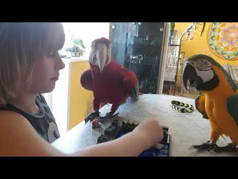 Сели с сыном спокойно,ВДВОЁМ поиграть!!!А эти липучки тут,как тут!!!)))