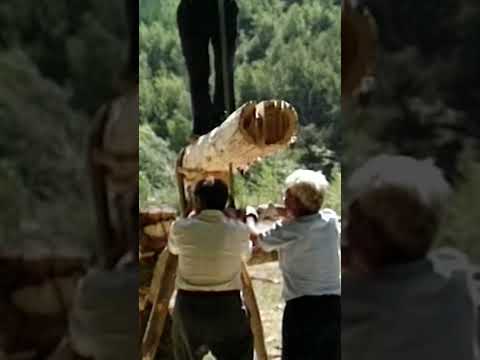 🪚🪵 TRONCOS gigantes convertidos en TABLAS de madera por los ASERRADORES