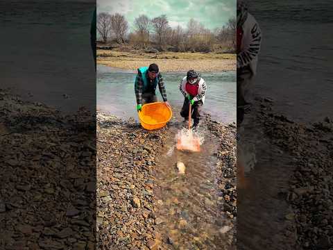 Qurbani Mubarak Special Fishing Part 32 #shorts #fishing #youtubeshorts
