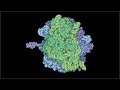 Origin of Life Chemistry Concepts