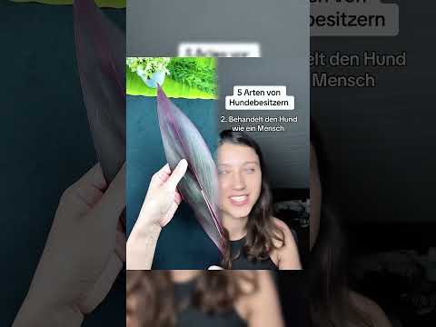 Habt ihr einen Hund 3 R #trend#viral #dog #pet #haustier #relatable#Komödie #Märchenstunde #Sketch