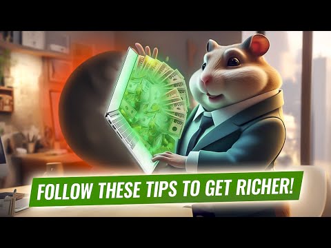 Hamster Feed: Tips and principles that help you become wealthier