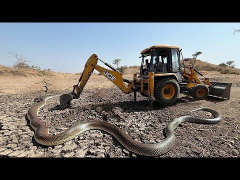 JCB 3dx video || JCB 3DX leveling work video Jcb backaloader || JCB3DX