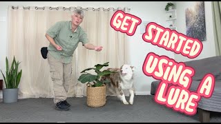 GET STARTED luring with food