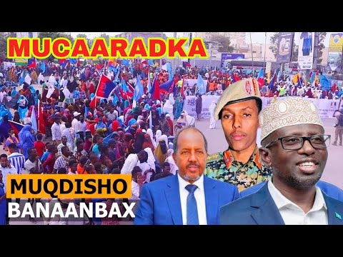 TOOS: Shacabka Muqdisho oo la kala saftay Mucaaradka & Madaxweyne Xasan Sheekh..