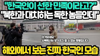 북한이랑 대치하는 놈들이니 얼마나 독하겠어   해외에서 보는 진짜 한국인 모습