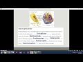 Characteristics of Living Organisms
