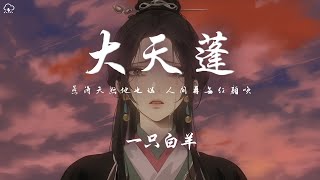 一隻白羊 - 大天蓬「惹得天怒地也惱 人間再無紅顏笑 留一半相思上大道」【動態歌詞/PinyinLyrics】♪