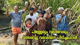 കുളം വറ്റിച്ചു മീൻ പിടുത്തം | Village fishing
