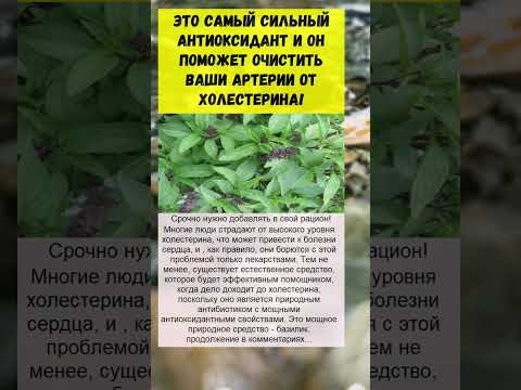 это растение просто чудо... а вы знали это?