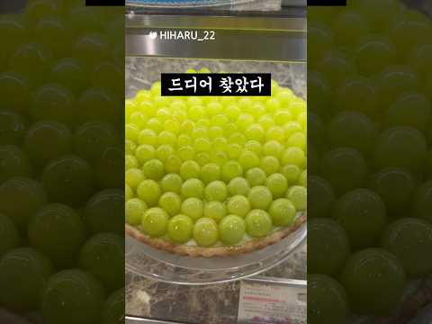 도쿄 인생 타르트인데 두번은 못먹을지도?