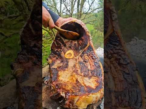 GIANT Tom and Jerry Steak FRIED on a Stone#outdoorcooking #cooking #asmr #food #chef
