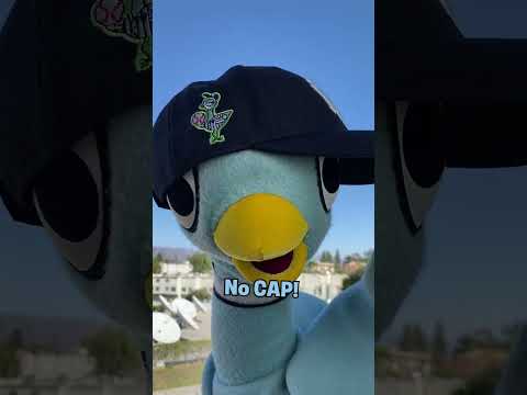 The Pigeon Gen Z Script #pigeon #genz #kidsvideo