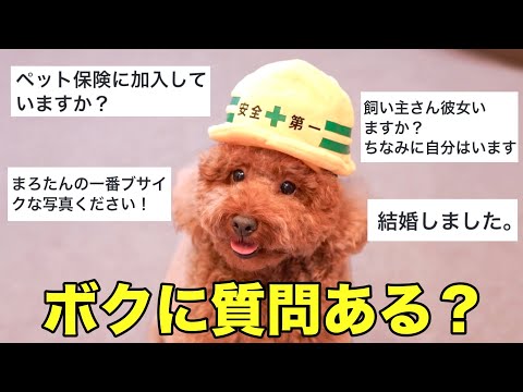 視聴者さんからの質問に答えまくる!!【質問コーナー】
