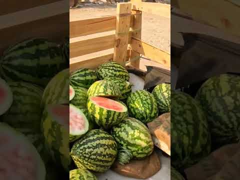 প্রতিবাদ হোক এভাবে,  বয়কট তরমুজ