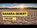 Exploring the Sahara Desert's Ecosystem