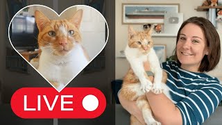 In Memory of Hudson & Cruise Chat LIVE