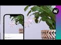 Identifying Plants with iPhone Photos