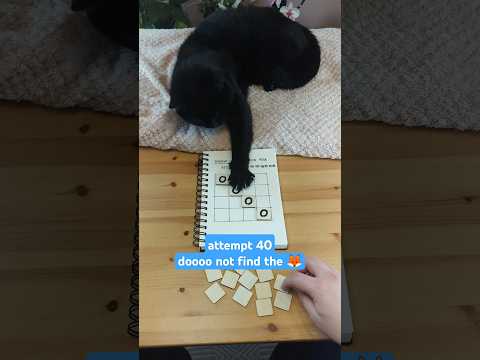 Attempt 40. Is Friday the 13th Lucky? 🐈‍⬛