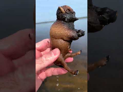 Muddy Bison Toy Getting Washed at the Ottawa River #shorts